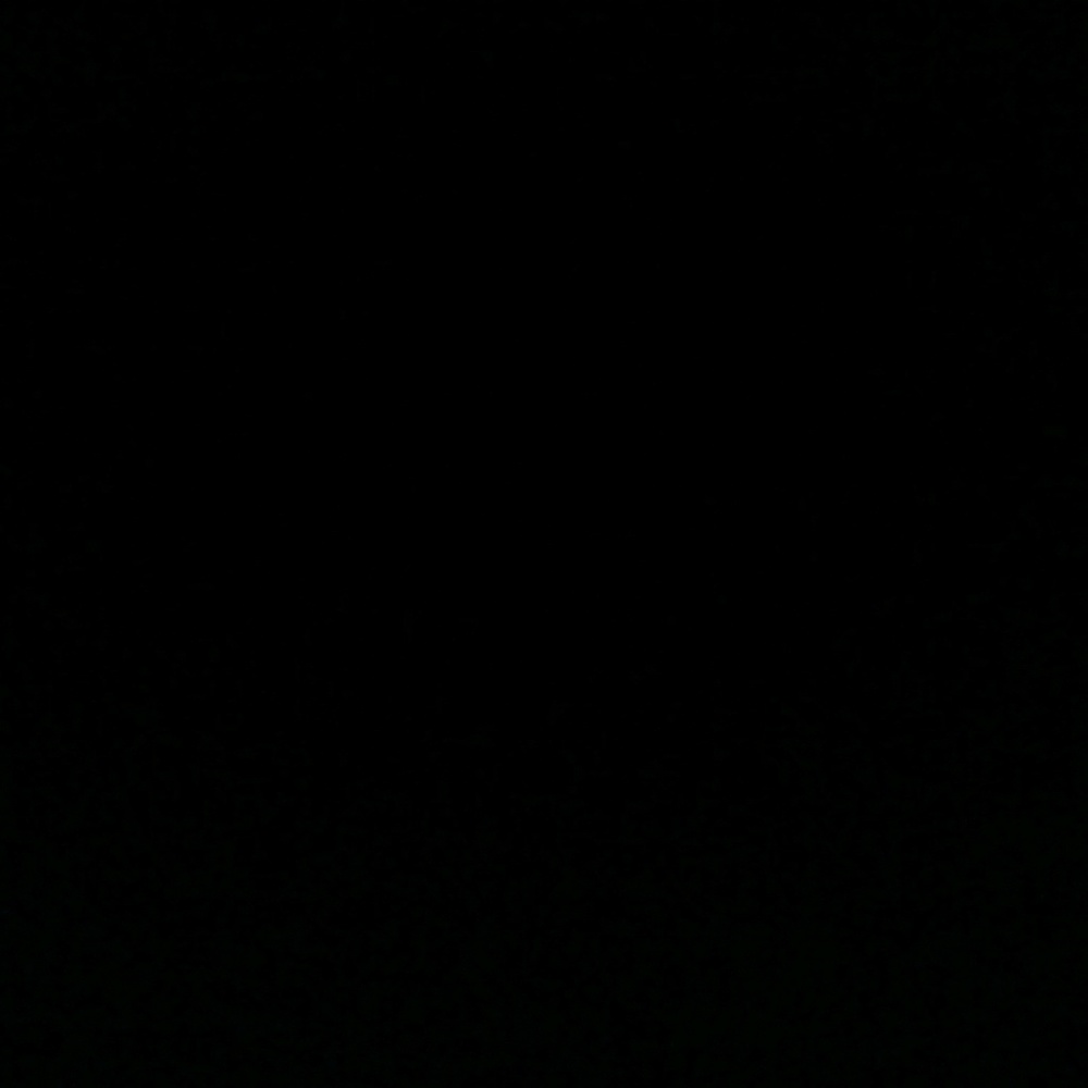 Meet your Posher, Jessie